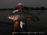 Pêche au Carpe Géante du Siam, Bungsamran, Bangkok, Thailande